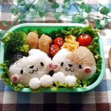 ネコちゃん弁当
