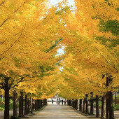 【10月の肌占い】お肌のタイプと血液型から占います!