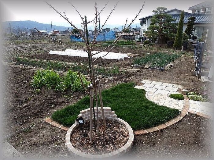 外構DIY☆殺風景なお庭にグリーンを!種まきからの芝庭!