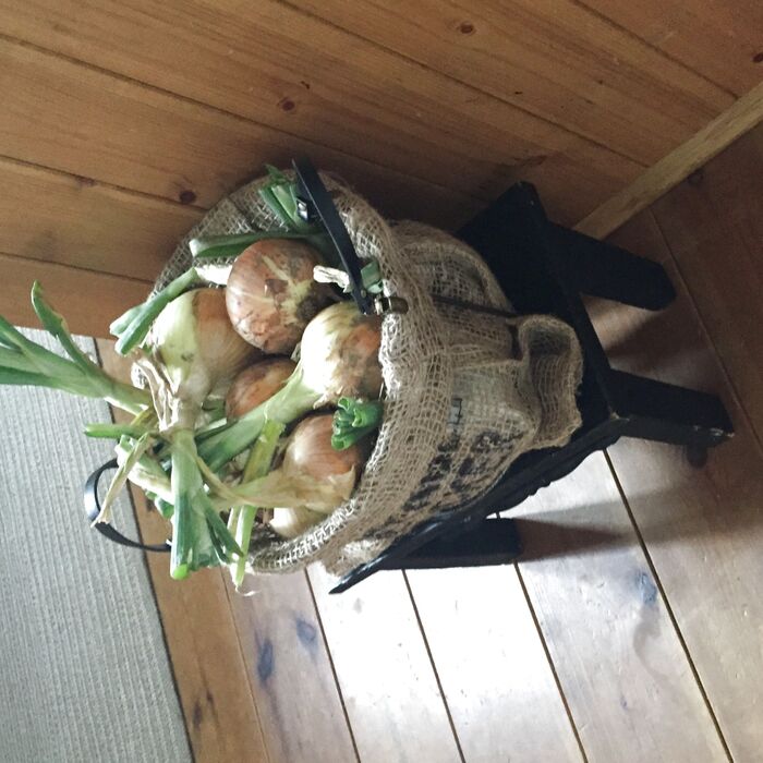 100均だけ!道具不要!簡単!すぐでき!野菜ストッカー。