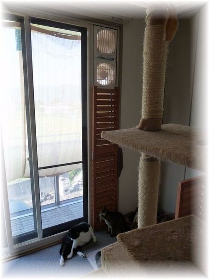 ~吸排気のツインファンで部屋の空気を入れ替え~