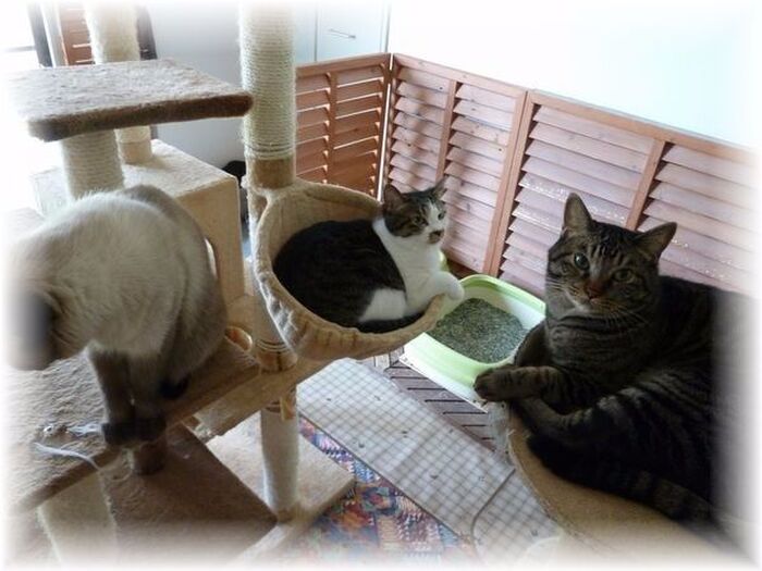 ~みんな仲良し~