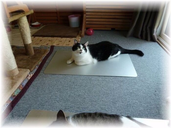 ~お部屋の空気~