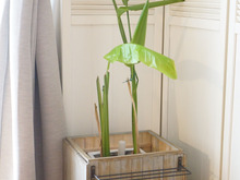 100均フォトフレームとすのこDIY!可動式植木鉢カバー作り