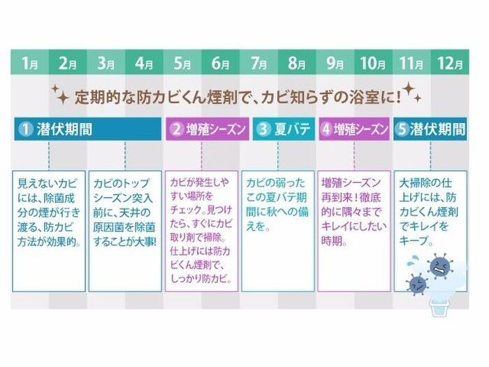 カビのバイオリズムに合わせてお手入れを!