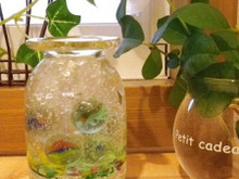 特集 ステキなアイデアを暮らしニスタ編集部でまとめさせて頂きました。