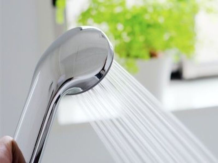 イヤ~な“黒カビ”と“ピンクヌメリ”の正体はこれ!