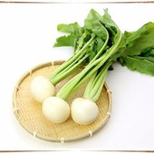 野菜の秘密~日本の野菜とアジアの野菜の違い~