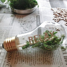 超簡単!セリアバルブボトルに、癒しの空間♪♪