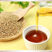 実は美肌食材!ごま油を使ったスキンケアがおすすめ!