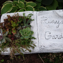 土台は発泡スチロール!ブック型プランター