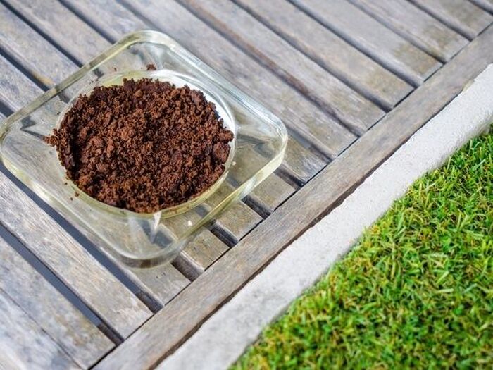 ニオイ軽減には「コーヒー」?!