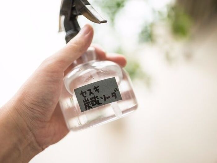 台所洗剤を使うことに抵抗がある場合は・・・