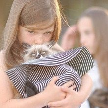 飼い主が猫の健康を左右する?最近ネコに多い病気はこの2つ!