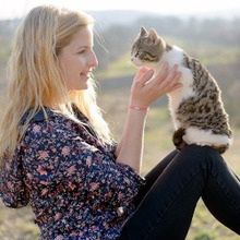 猫は自分の悪口がわかるかも!猫と暮らす時に気をつけたい3か条とは