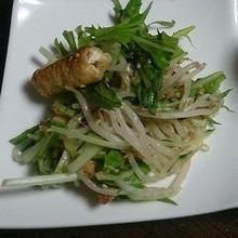 切って和えるだけの簡単!水菜のサラダのレシピ