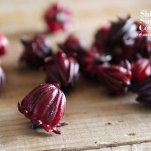 流行の兆し?いま巷で話題の「ローゼル」って知ってる?