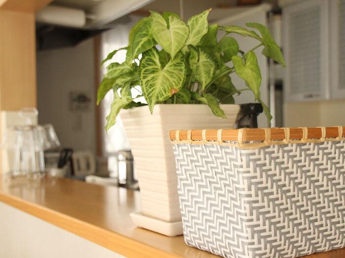 アクセントカラーはグリーン