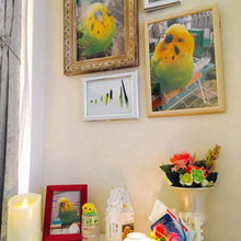 リビングに大切なペットを思い出す空間を作る