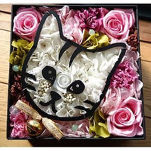 猫とのお別れ…。猫の介護、お葬式。どうすればいい?みんなはどうしてる?