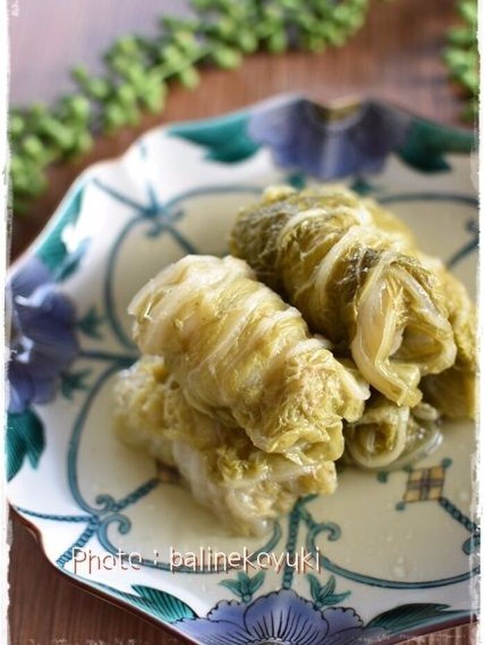【レシピ】食べごたえ抜群!餃子の肉巻き白菜ロール煮(圧力鍋使用)