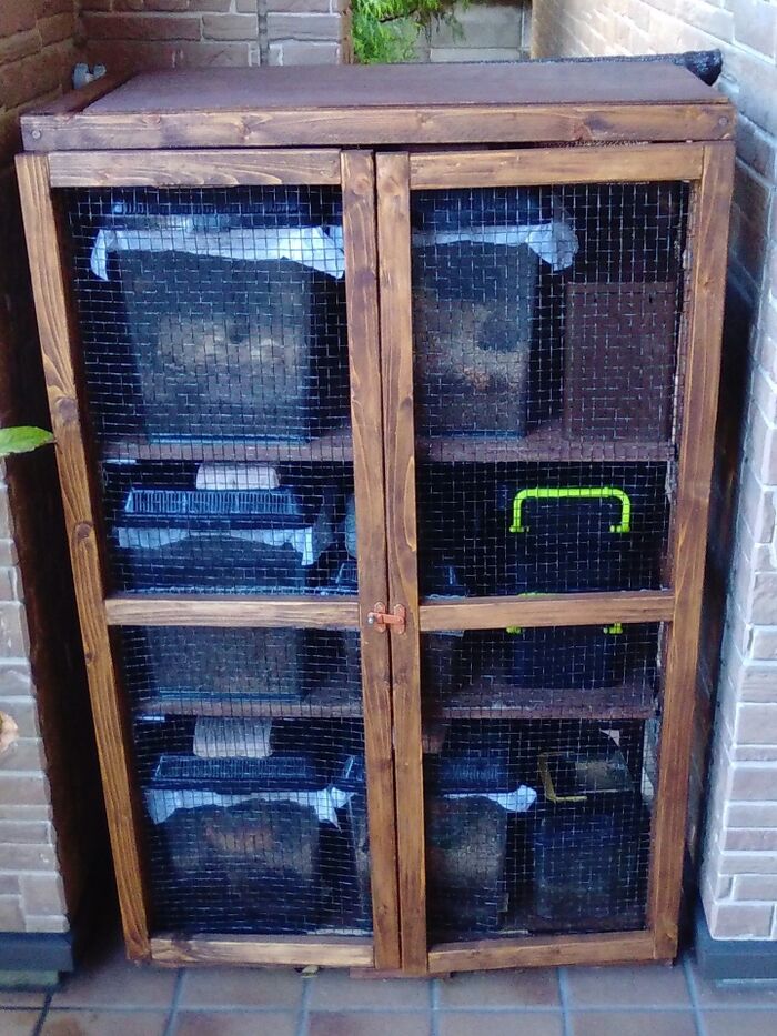 クワガタマンションをDIY