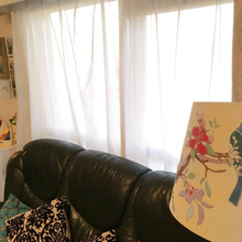 鳥のウォールステッカーをリビングに分散して貼って統一感を出す