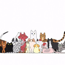 猫飼いに多い『アニマルホーダー』なりやすい人の特徴は?