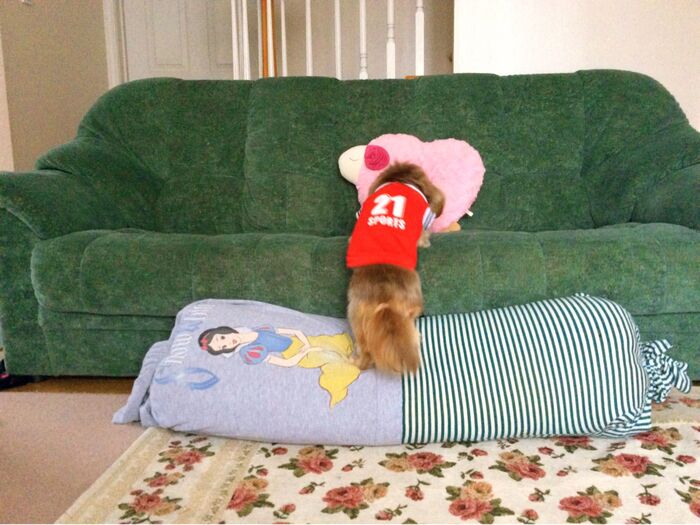 愛犬のために♪布団と洋服で ロング クッション♪