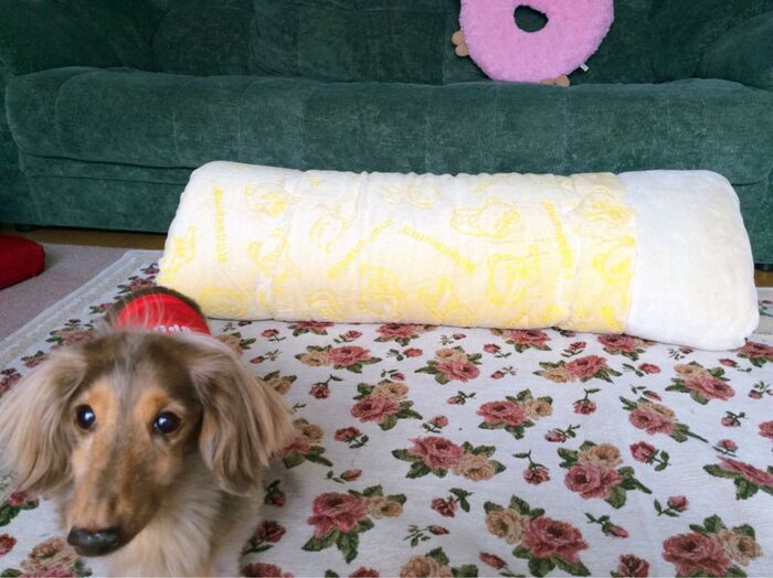 クッションの 形に 整えます♪