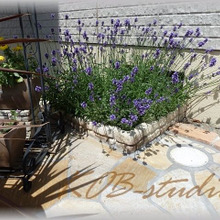 四季を通して楽しめるガーデン造り!