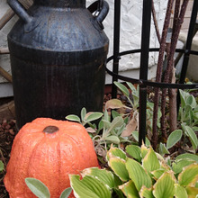 ハロウィン★プラ鉢で作るリアルカボチャ