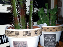 100均で男前インテリアにも合う鉢カバーをDIY