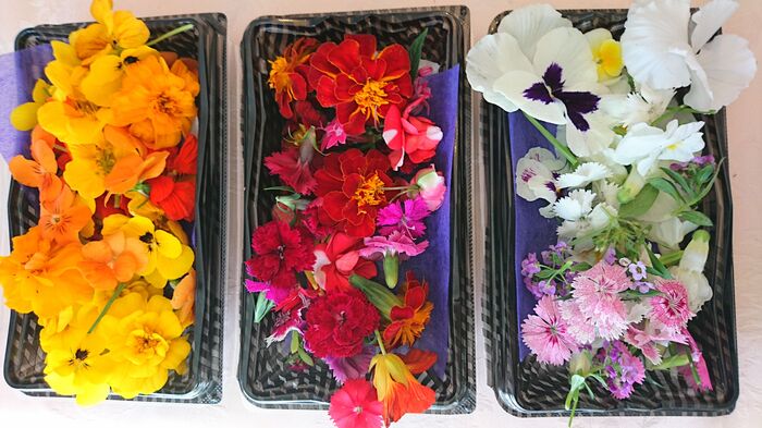 気分に合わせて テーマカラーを決めましょう♡