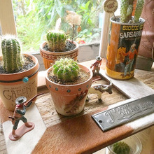 アレンジ無限大☆ 100均植木鉢で楽しむリメイク術