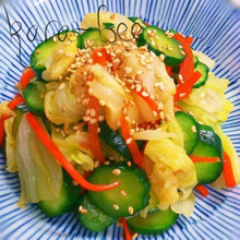 1人分35円♡ 大人の箸休め♡ 三色野菜の辛子和え