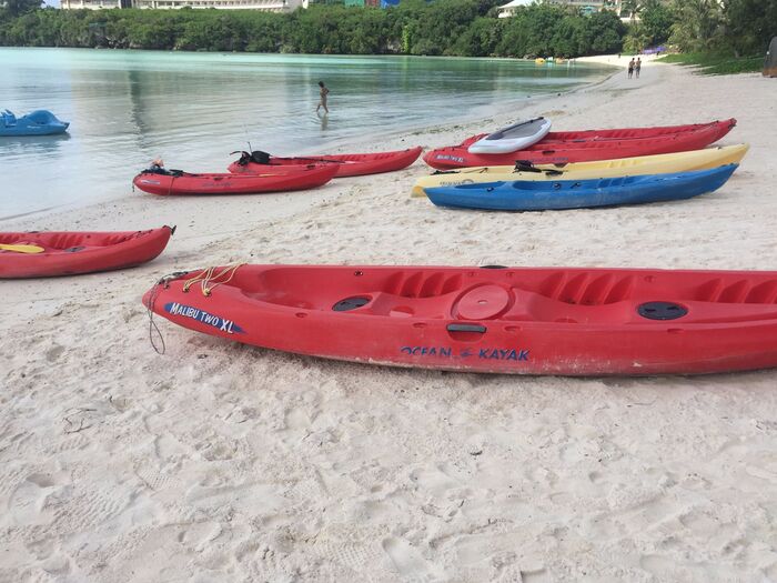 ウミガメを見に行くツアーを体験しないとソン!