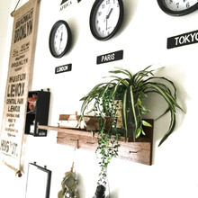 ダイソー・フェイクグリーンで、オシャレなインテリアに☆