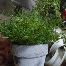 【リメイク】塗るだけ簡単漆喰風に!プラスターメディウムを使った簡単リメイク☆