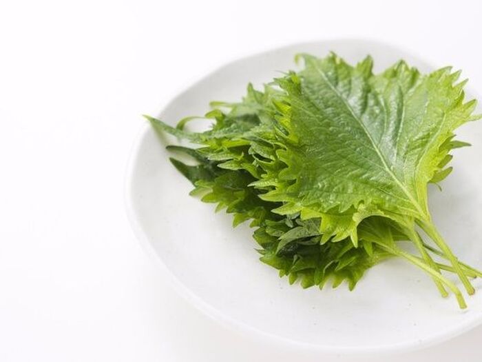 【野菜の保存3】 使いきれずに残りがちな「薬味」