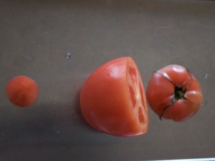 2　トマトを切ります。