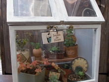 100均DIY! インテリアにもなる多肉植物用ミニ温室★テラリウム★