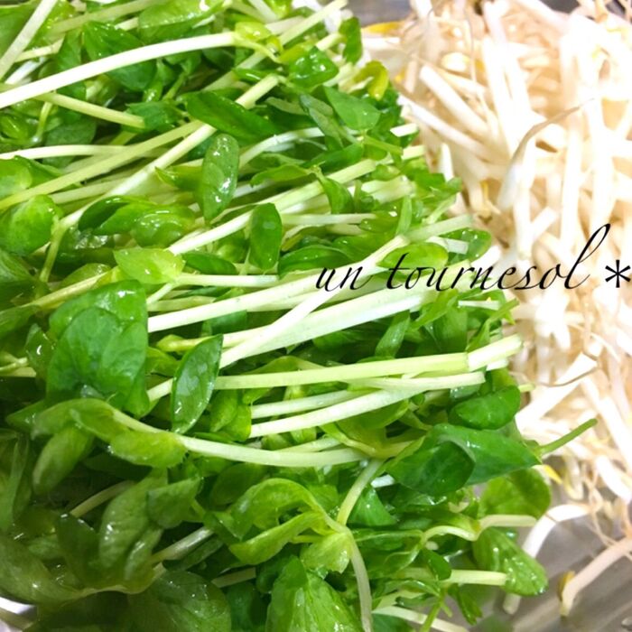 ①豆苗ともやしの長さをそろえて!