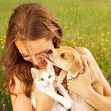 あなたは大丈夫?こんな人が危ない!ペットロスになりやすい人の特徴