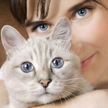 自分と似ているペットを選ぶ?あなたがその猫を選んだ意外な理由とは