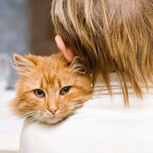 あなたはデキる飼い主?それとも…。猫にとって良い飼い主チェック