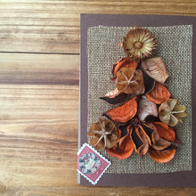 ダイソーのポプリで、ナチュラルクリスマスカード