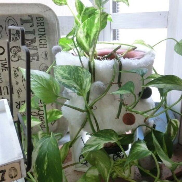 100均アイテムで作る!冬仕様のグリーンポットカバー