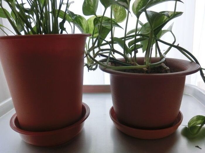 続いて、左側の方です。