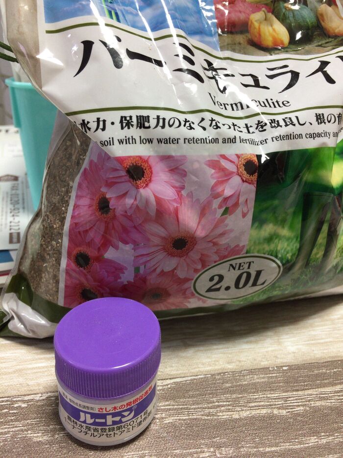 ①試験管へ挿し木します